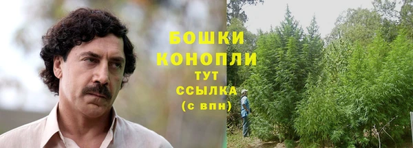 MESCALINE Ельня